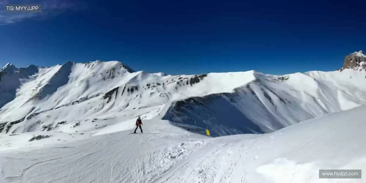 「弹幕互动 + 专家解读，边看边聊才是观赛标配！💬加入直播间，一起嗨翻天！」